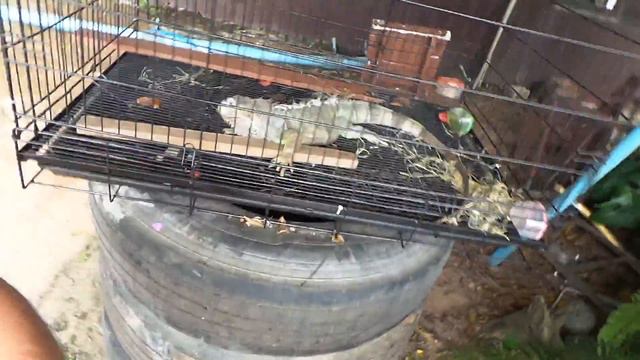 #Тайланд#2018#Елена#Седова#Чайный##домик смотреть онлайн