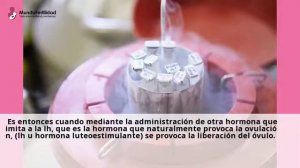 Fecundación in Vitro Semen de Donante