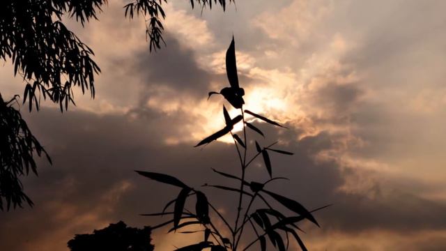 Kai Warner Werner Last Germany - S.O.S.  Im On Fire  Lady Bump