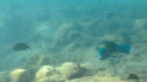2015 06 12 Пляж отеля Golden 5 Emerald