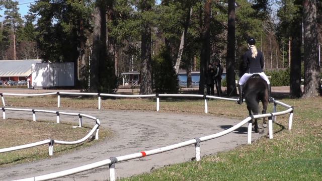 Nyman Arnella  Thor fran Jarsta - T2 Tolt  Kraftur WR-kilpailut 5.-6.5.2018