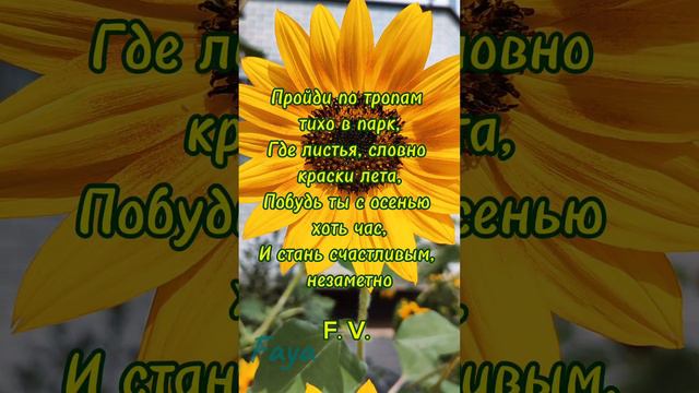 #осеннее_настроение #доброеутро #осенниецветы #природа