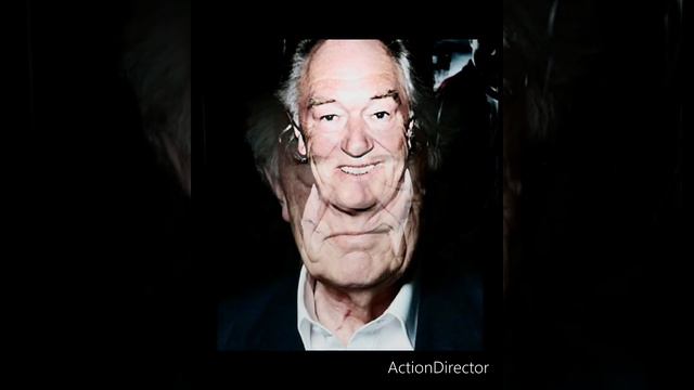 Celebraties That Passed Away  : Michael Gambon ( Professor Albus Dumbledore Harry Potter )