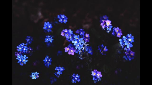 Johann Jacob Froberger (1616-1667): Toccata II in d FbWV 102 - Marian Polin смотреть онлайн