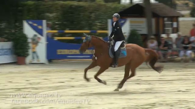 Schutterwald 2015 Prf34 02 Jörg Widmaier - Current Market смотреть онлайн