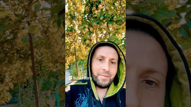 Подписаться не забудь