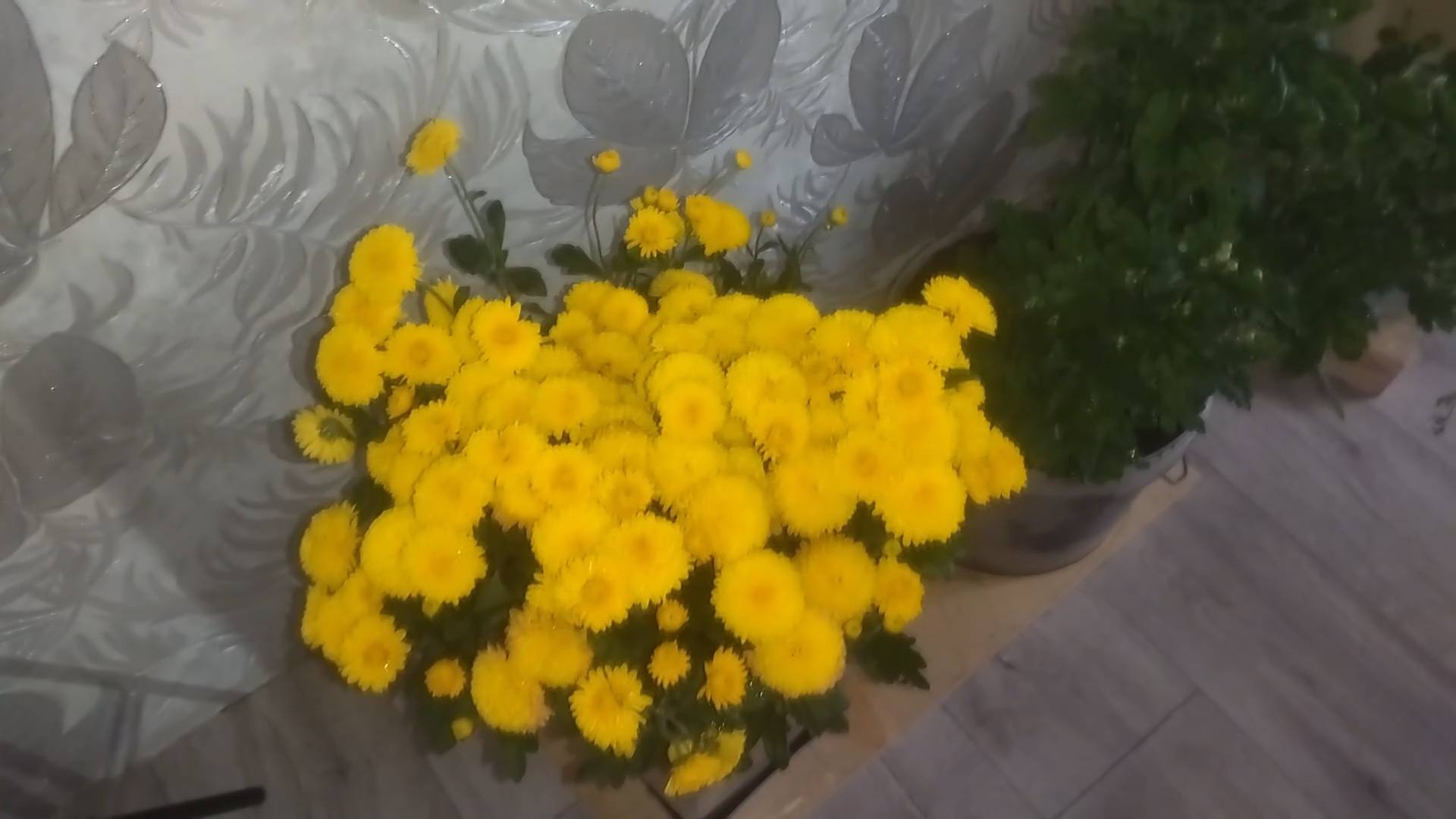 ПРОСТАЯ ЖИЗНЬ //ЗАНИМАЮСЬ ДОМАШНИМИ ДЕЛАМИ