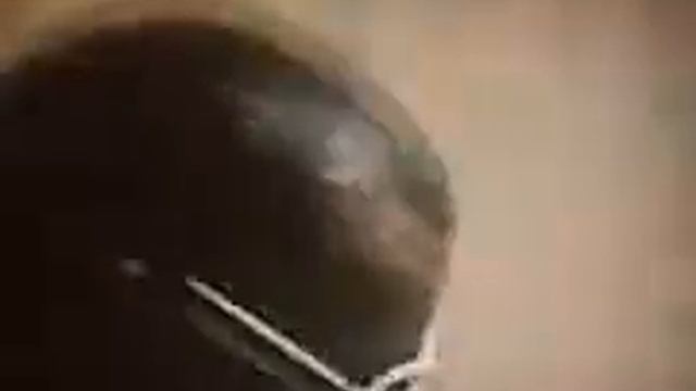 NeverMind The Buzzcocks - Jessica Origliasso смотреть онлайн