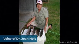 Dr. G. Joan Holt – Oral History (Full)