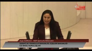 HDP - Feleknas Uca , Ayşe Sürücü , Osman Baydemir Meclis'te Kürtçe konuştu