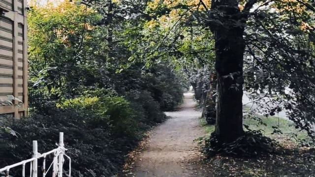 VID 20230810 225102 О несовершеннолетней грешнице Витезслав Незвал...Павел Васильев Лахтинский