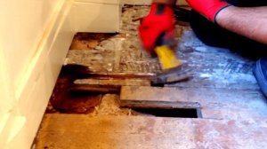 Женщина услышала звуки под полом. Вскрыв пол она побелела от увиденного