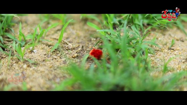 AAKASHAMA RAAMA NEW FOLK PROMO #THUMMA #RAGHAVENDER #DETHADISONGS #GL #NAMDEV #SRINIVAS #LAHARI смотреть онлайн