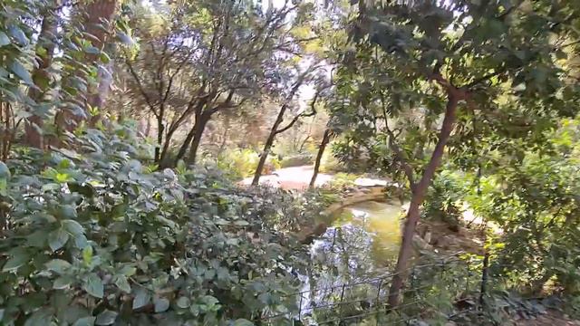 Laberinto de Horta смотреть онлайн