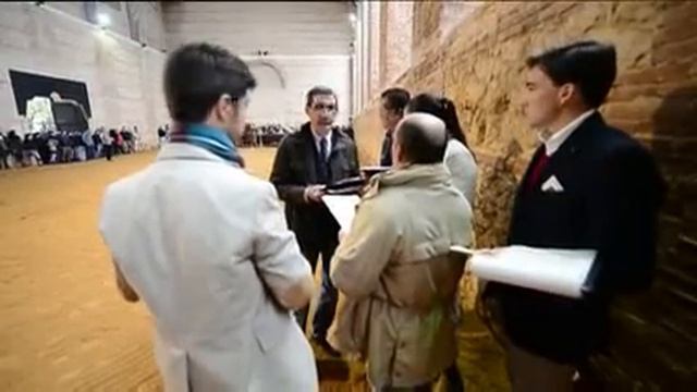 El caballo hispano-árabe, a examen en su lugar de origen смотреть онлайн
