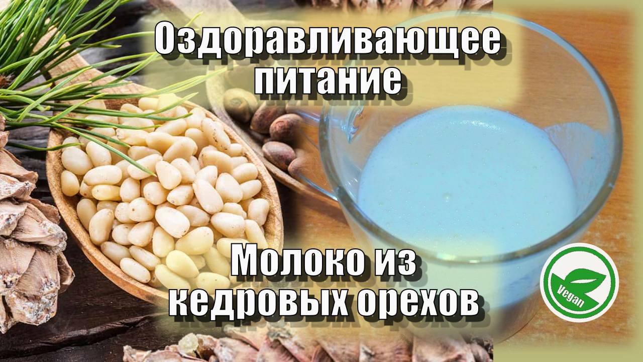 Молоко из кедровых орехов — Рецепты — Оздоравливающее питание