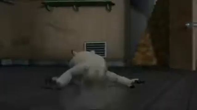 Bernard : Haşere 1 Sakar Ayı Bernard Bear смотреть онлайн