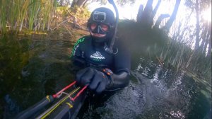 Подводная охота с роллером на щуку Прозрак как в аквариуме