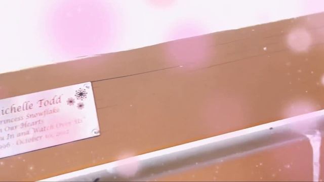 A bench to remember Amanda Todd смотреть онлайн