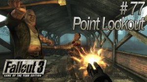 Дорога к собору. Fallout 3: Point Lookout (Прохождение) # 77