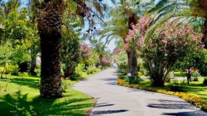 Отель Ali Bey Park, 2018 год. Мои фотографии этого отеля.