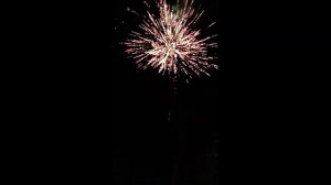 Всех поздравляем С Новым 2021 годом #семьяМаксимович #2021 #фейерверк #papa_den