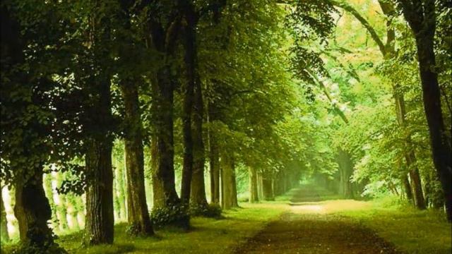 Poesia " E se Affido " di Pier Paolo La Spina смотреть онлайн