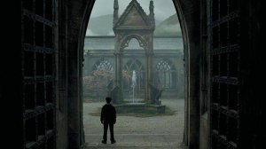 Гарри Поттер /волшебные птицы