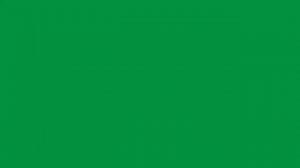 Dessau 2015 (Update)
