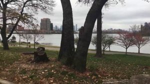 Randall's Island Park in Autumn | New York