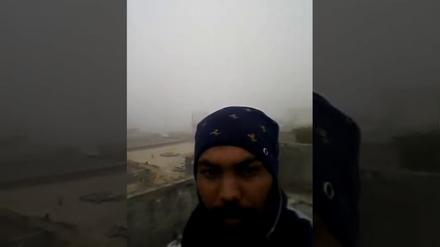 Longo majri смотреть онлайн