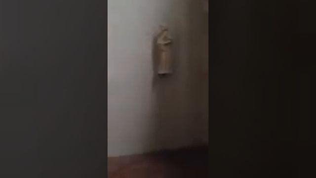 Bill viola San Marco