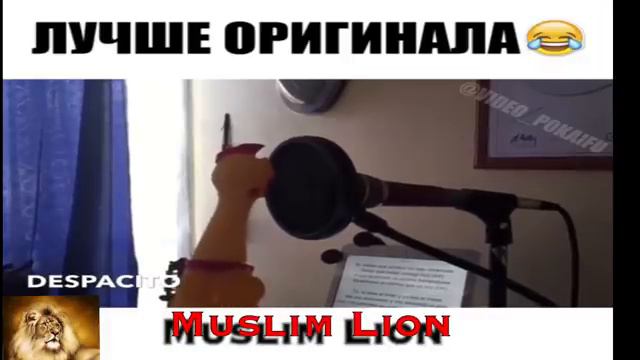 Курица поёт- Деспасито-  Despacito