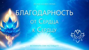 Благодарность души