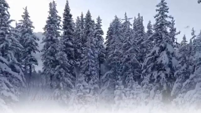 ОТЧАЯНЬЕ