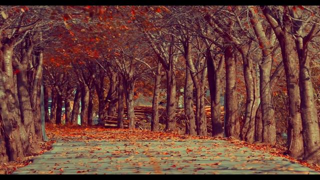 Pining for Poetry: The Wind by Tere Carandell Sarabia смотреть онлайн