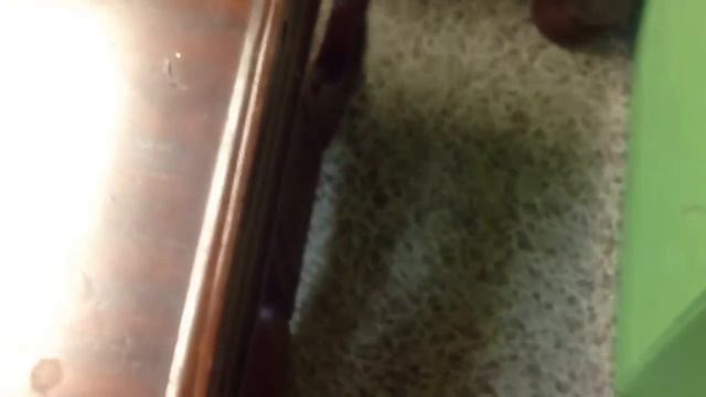 My 164th scale Kyle Busch collection!