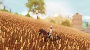 ВСЕ О ПОРОДЕ | АРАБСКАЯ ЛОШАДЬ | Star Stable