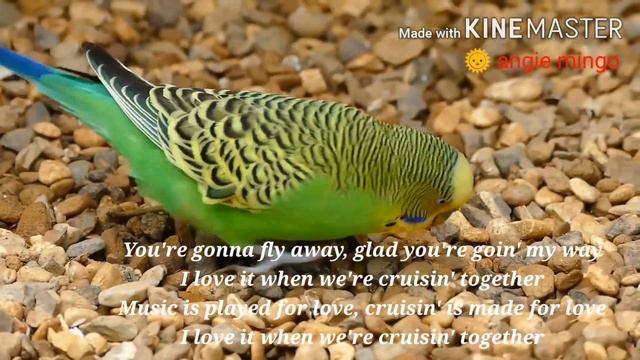 CRUISIN w/ lyrics (Song - by Huey Lewis and the News) смотреть онлайн