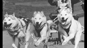 Slow Down -  Larry Williams - Cover by Johnie Lloyd