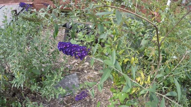 Happy Homeowners: Karyn Davis helps Trevor & Ryan смотреть онлайн