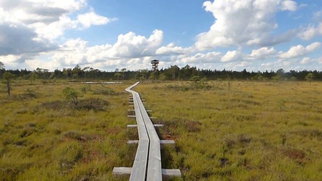 MUKRI RABA /BOG Eesti sood ja rabad 1/ Estonian bogs and wetlands 1. Toomas Argel 2017 смотреть онлайн