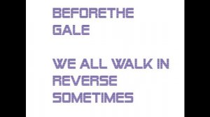 Before The Gale - We All Walk in reverse Sometimes