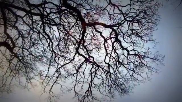 Mondi Interiori, Mondi Esteriori - Parte 2 - La Spirale смотреть онлайн