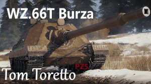 Играю в Мир Танков - WZ.66T Burza 22.09.2024г.