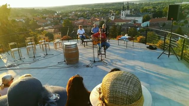 Mizera/Miloš Crnjanski - Nemanja Nešić LIVE смотреть онлайн