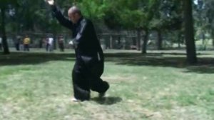 Bagua Zhang (Tao Lu) [02] Shimon Levin