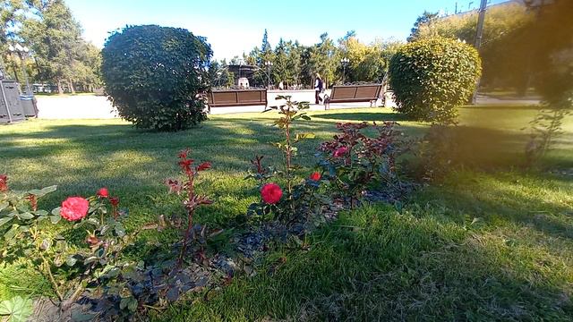 ВАЖНО СДЕЛАТЬ В ВОСКРЕСЕНЬЕ!