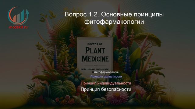 Доктор фитотерапии – Doctor of Plant Medicine (DPIMed). Профпереподготовка. Лекция.