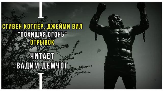 Стивен Котлер, Джейми Вил "Похищая огонь". Читает Вадим Демчог